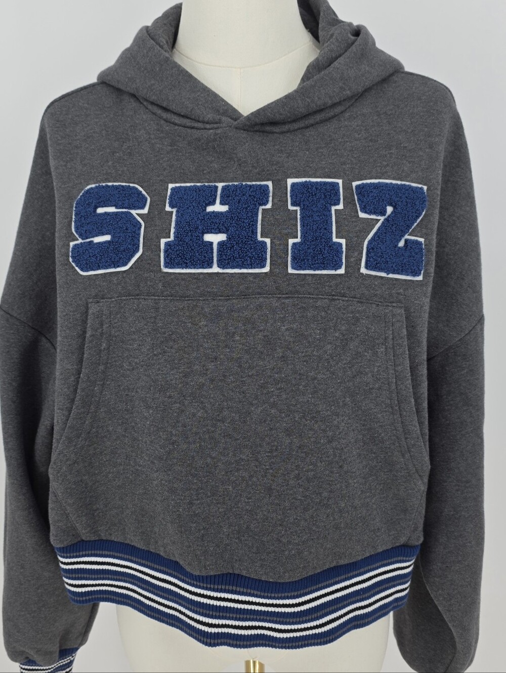 Wicked Universal Studios SHIZ Hoodie Womens XS Gray Chenille Cropped Sweatshirt - Picture 2 of 9
